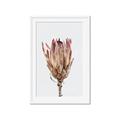 Picture of Dried Flower II _GroupedProduct_Rectangle_Portrait_Photography _GroupedProduct_Rectangle_Portrait_Framed_Matted_