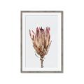 Picture of Dried Flower II _GroupedProduct_Rectangle_Portrait_Photography _GroupedProduct_Rectangle_Portrait_Framed_Matted_