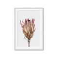Picture of Dried Flower II _GroupedProduct_Rectangle_Portrait_Photography _GroupedProduct_Rectangle_Portrait_Framed_Matted_
