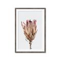 Picture of Dried Flower II _GroupedProduct_Rectangle_Portrait_Photography _GroupedProduct_Rectangle_Portrait_Framed_Matted_