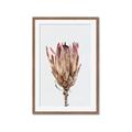 Picture of Dried Flower II _GroupedProduct_Rectangle_Portrait_Photography _GroupedProduct_Rectangle_Portrait_Framed_Matted_