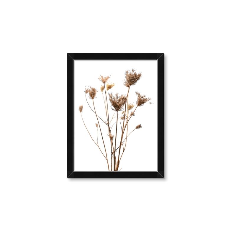 Picture of Dried Flower III  _GroupedProduct_Rectangle_Portrait_Photography _GroupedProduct_Rectangle_Portrait_Framed_Matted_