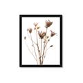 Picture of Dried Flower III  _GroupedProduct_Rectangle_Portrait_Photography _GroupedProduct_Rectangle_Portrait_Framed_Matted_