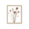 Picture of Dried Flower III  _GroupedProduct_Rectangle_Portrait_Photography _GroupedProduct_Rectangle_Portrait_Framed_Matted_
