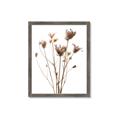 Picture of Dried Flower III  _GroupedProduct_Rectangle_Portrait_Photography _GroupedProduct_Rectangle_Portrait_Framed_Matted_