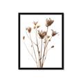 Picture of Dried Flower III  _GroupedProduct_Rectangle_Portrait_Photography _GroupedProduct_Rectangle_Portrait_Framed_Matted_