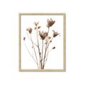 Picture of Dried Flower III  _GroupedProduct_Rectangle_Portrait_Photography _GroupedProduct_Rectangle_Portrait_Framed_Matted_