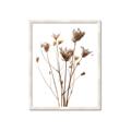 Picture of Dried Flower III  _GroupedProduct_Rectangle_Portrait_Photography _GroupedProduct_Rectangle_Portrait_Framed_Matted_