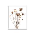 Picture of Dried Flower III  _GroupedProduct_Rectangle_Portrait_Photography _GroupedProduct_Rectangle_Portrait_Framed_Matted_