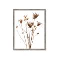 Picture of Dried Flower III  _GroupedProduct_Rectangle_Portrait_Photography _GroupedProduct_Rectangle_Portrait_Framed_Matted_