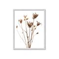 Picture of Dried Flower III  _GroupedProduct_Rectangle_Portrait_Photography _GroupedProduct_Rectangle_Portrait_Framed_Matted_