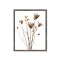 Picture of Dried Flower III  _GroupedProduct_Rectangle_Portrait_Photography _GroupedProduct_Rectangle_Portrait_Framed_Matted_