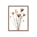 Picture of Dried Flower III  _GroupedProduct_Rectangle_Portrait_Photography _GroupedProduct_Rectangle_Portrait_Framed_Matted_