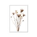 Picture of Dried Flower III  _GroupedProduct_Rectangle_Portrait_Photography _GroupedProduct_Rectangle_Portrait_Framed_Matted_
