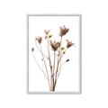 Picture of Dried Flower III  _GroupedProduct_Rectangle_Portrait_Photography _GroupedProduct_Rectangle_Portrait_Framed_Matted_