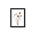 Picture of Dried Flower III  _GroupedProduct_Rectangle_Portrait_Photography _GroupedProduct_Rectangle_Portrait_Framed_Matted_