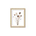 Picture of Dried Flower III  _GroupedProduct_Rectangle_Portrait_Photography _GroupedProduct_Rectangle_Portrait_Framed_Matted_