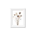 Picture of Dried Flower III  _GroupedProduct_Rectangle_Portrait_Photography _GroupedProduct_Rectangle_Portrait_Framed_Matted_
