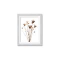 Picture of Dried Flower III  _GroupedProduct_Rectangle_Portrait_Photography _GroupedProduct_Rectangle_Portrait_Framed_Matted_