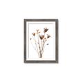 Picture of Dried Flower III  _GroupedProduct_Rectangle_Portrait_Photography _GroupedProduct_Rectangle_Portrait_Framed_Matted_