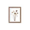 Picture of Dried Flower III  _GroupedProduct_Rectangle_Portrait_Photography _GroupedProduct_Rectangle_Portrait_Framed_Matted_