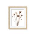 Picture of Dried Flower III  _GroupedProduct_Rectangle_Portrait_Photography _GroupedProduct_Rectangle_Portrait_Framed_Matted_