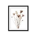 Picture of Dried Flower III  _GroupedProduct_Rectangle_Portrait_Photography _GroupedProduct_Rectangle_Portrait_Framed_Matted_
