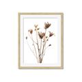 Picture of Dried Flower III  _GroupedProduct_Rectangle_Portrait_Photography _GroupedProduct_Rectangle_Portrait_Framed_Matted_