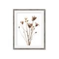 Picture of Dried Flower III  _GroupedProduct_Rectangle_Portrait_Photography _GroupedProduct_Rectangle_Portrait_Framed_Matted_