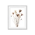 Picture of Dried Flower III  _GroupedProduct_Rectangle_Portrait_Photography _GroupedProduct_Rectangle_Portrait_Framed_Matted_