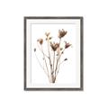 Picture of Dried Flower III  _GroupedProduct_Rectangle_Portrait_Photography _GroupedProduct_Rectangle_Portrait_Framed_Matted_