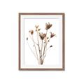 Picture of Dried Flower III  _GroupedProduct_Rectangle_Portrait_Photography _GroupedProduct_Rectangle_Portrait_Framed_Matted_