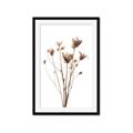 Picture of Dried Flower III  _GroupedProduct_Rectangle_Portrait_Photography _GroupedProduct_Rectangle_Portrait_Framed_Matted_