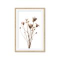 Picture of Dried Flower III  _GroupedProduct_Rectangle_Portrait_Photography _GroupedProduct_Rectangle_Portrait_Framed_Matted_