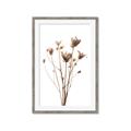 Picture of Dried Flower III  _GroupedProduct_Rectangle_Portrait_Photography _GroupedProduct_Rectangle_Portrait_Framed_Matted_