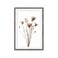 Picture of Dried Flower III  _GroupedProduct_Rectangle_Portrait_Photography _GroupedProduct_Rectangle_Portrait_Framed_Matted_