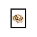 Picture of Dried Hydrangea _GroupedProduct_Rectangle_Portrait_Photography _GroupedProduct_Rectangle_Portrait_Framed_Matted_