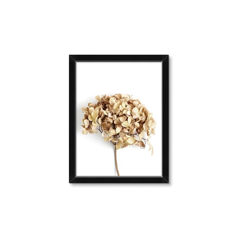 Picture of Dried Hydrangea _GroupedProduct_Rectangle_Portrait_Photography _GroupedProduct_Rectangle_Portrait_Framed_Matted_