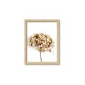 Picture of Dried Hydrangea _GroupedProduct_Rectangle_Portrait_Photography _GroupedProduct_Rectangle_Portrait_Framed_Matted_