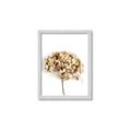 Picture of Dried Hydrangea _GroupedProduct_Rectangle_Portrait_Photography _GroupedProduct_Rectangle_Portrait_Framed_Matted_