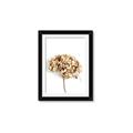 Picture of Dried Hydrangea _GroupedProduct_Rectangle_Portrait_Photography _GroupedProduct_Rectangle_Portrait_Framed_Matted_