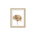 Picture of Dried Hydrangea _GroupedProduct_Rectangle_Portrait_Photography _GroupedProduct_Rectangle_Portrait_Framed_Matted_