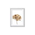 Picture of Dried Hydrangea _GroupedProduct_Rectangle_Portrait_Photography _GroupedProduct_Rectangle_Portrait_Framed_Matted_