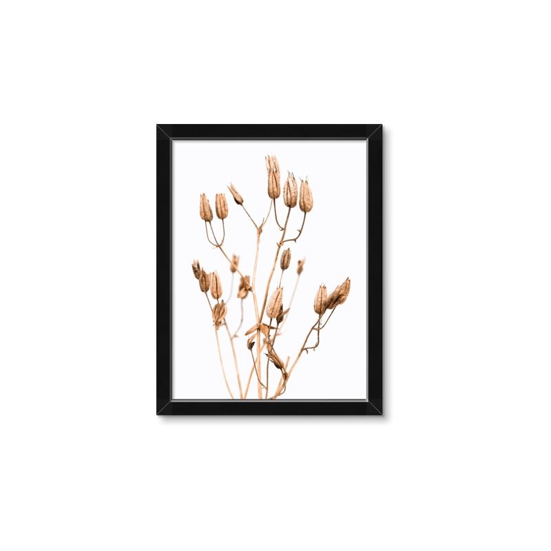 Picture of Dried Lilies  _GroupedProduct_Rectangle_Portrait_Photography _GroupedProduct_Rectangle_Portrait_Framed_Matted_