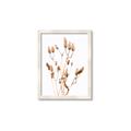Picture of Dried Lilies  _GroupedProduct_Rectangle_Portrait_Photography _GroupedProduct_Rectangle_Portrait_Framed_Matted_