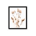 Picture of Dried Lilies  _GroupedProduct_Rectangle_Portrait_Photography _GroupedProduct_Rectangle_Portrait_Framed_Matted_