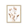 Picture of Dried Lilies  _GroupedProduct_Rectangle_Portrait_Photography _GroupedProduct_Rectangle_Portrait_Framed_Matted_