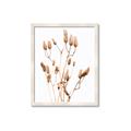 Picture of Dried Lilies  _GroupedProduct_Rectangle_Portrait_Photography _GroupedProduct_Rectangle_Portrait_Framed_Matted_