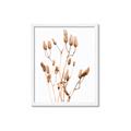 Picture of Dried Lilies  _GroupedProduct_Rectangle_Portrait_Photography _GroupedProduct_Rectangle_Portrait_Framed_Matted_