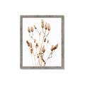 Picture of Dried Lilies  _GroupedProduct_Rectangle_Portrait_Photography _GroupedProduct_Rectangle_Portrait_Framed_Matted_